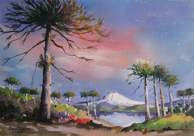 Araucarias de los Andes - 50 X 35 cms -----------------> VENDIDA