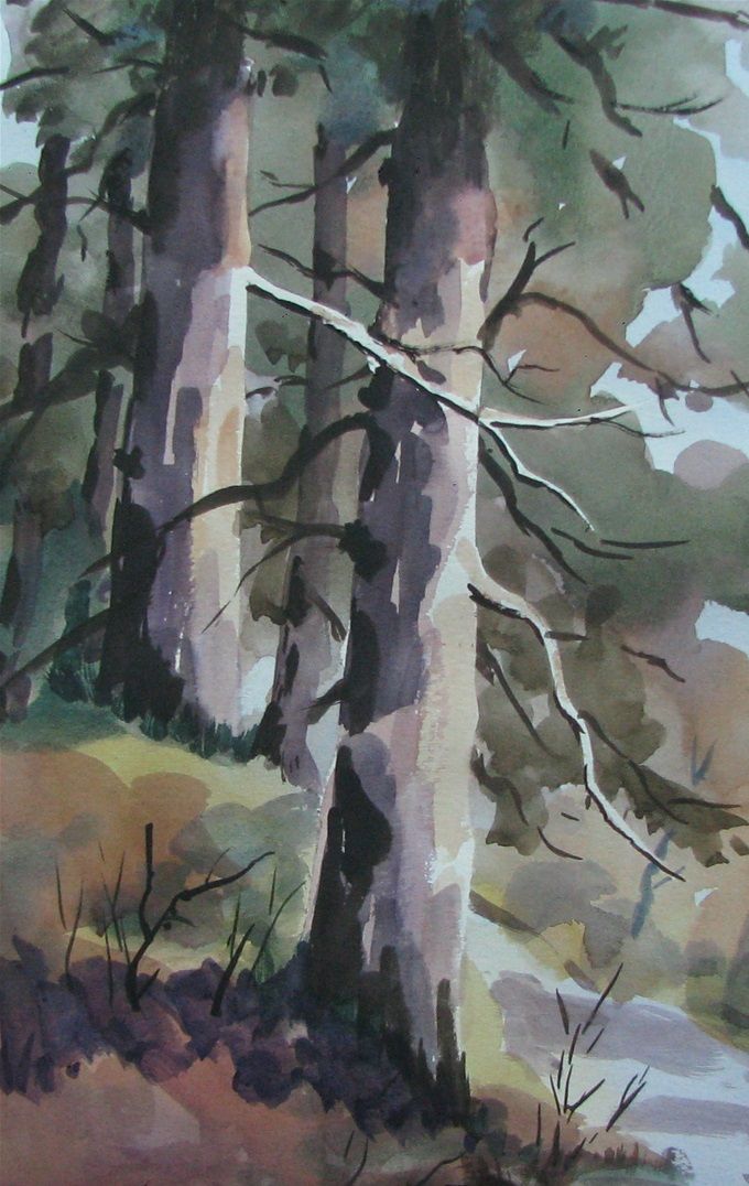 Borde bosque -acuarela 2017 - 50 X 30 cms --------------- > VENDIDA