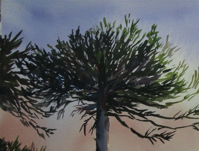Araucarias - 50x70 cms. Año 2016 ---------VENDIDA