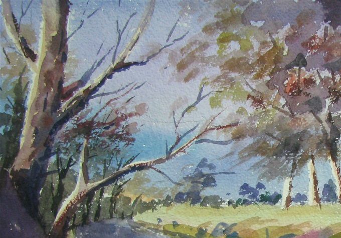 Floresta del Sur-35x50-año-2017-------->Vendida